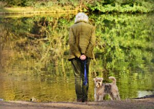 犬連れで楽しむ九州旅行に最適な飛行機の選び方は？