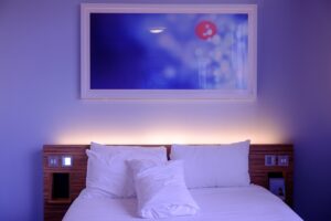 九州でペットと一緒に泊まれる宿はどこ？