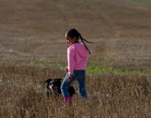 ハウステンボスで犬と泊まれる宿はどこが人気ですか？