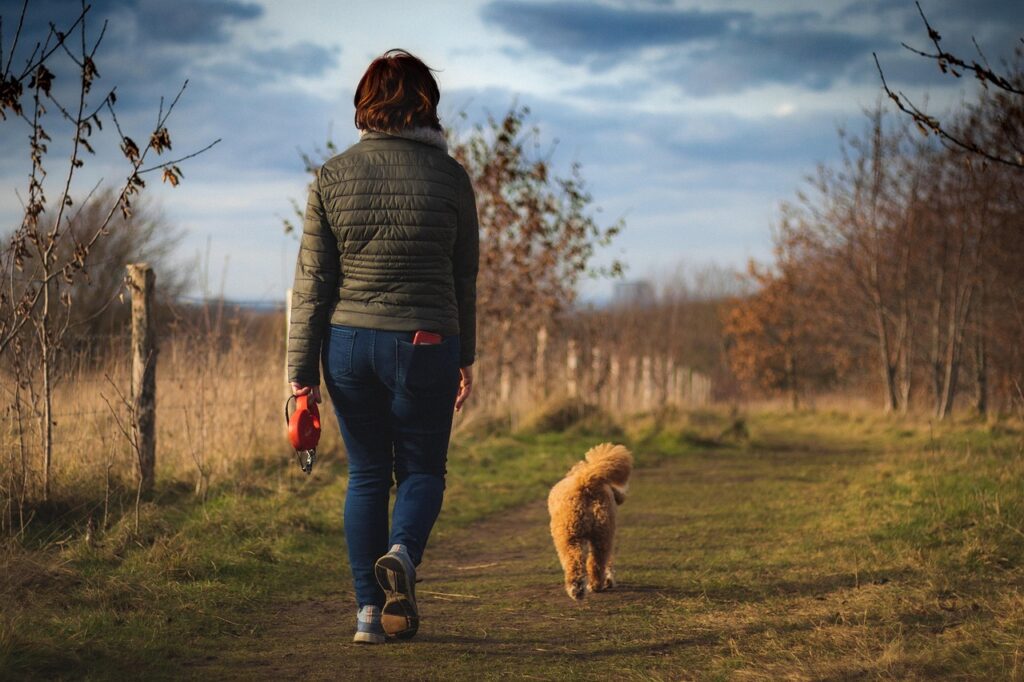 九州のペット宿で室内犬と一緒に楽しめる散歩コースは有り？
