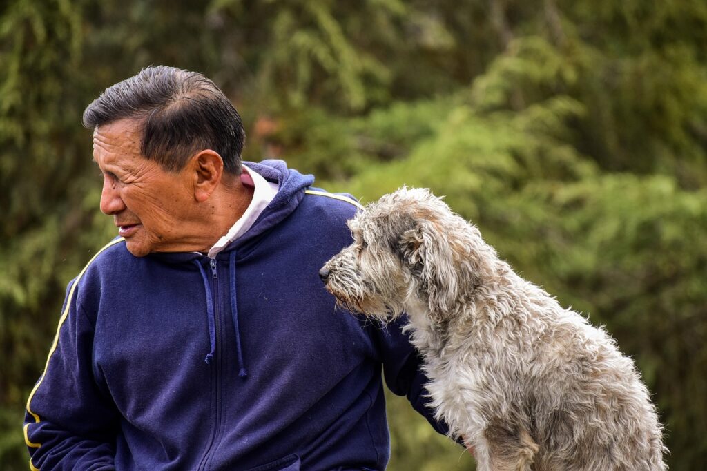 九州の10歳以上の老犬と一緒に泊まれるペット宿はどこ？