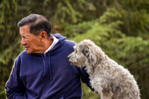 九州の10歳以上の老犬と一緒に泊まれるペット宿はどこ？