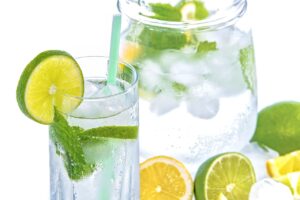 九州のペット宿で炭酸泉の効果を実感できる犬向け施設は？