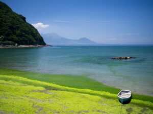 九州のペットと一緒に泊まれる宿として人気のトレーラーハウスは？