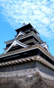 九州のペット宿で楽しむ森林浴、犬との素敵な時間は？