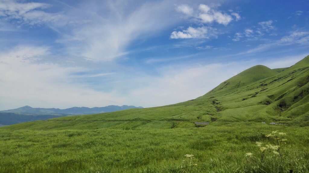 福岡で犬と泊まれる宿はカップルにおすすめ？