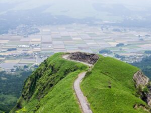 阿蘇ファームランドで犬連れの楽しみ方は？